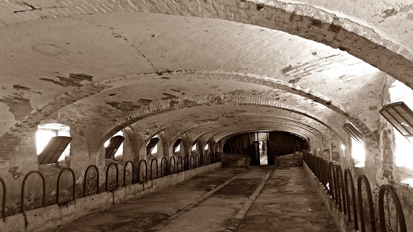 225bf81fa544c0476d78d8055635f617